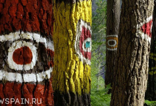Разноцветный Лес Ома